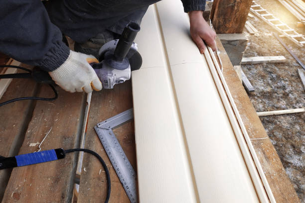 Best Siding Painting and Refinishing  in Holbrook, NY
